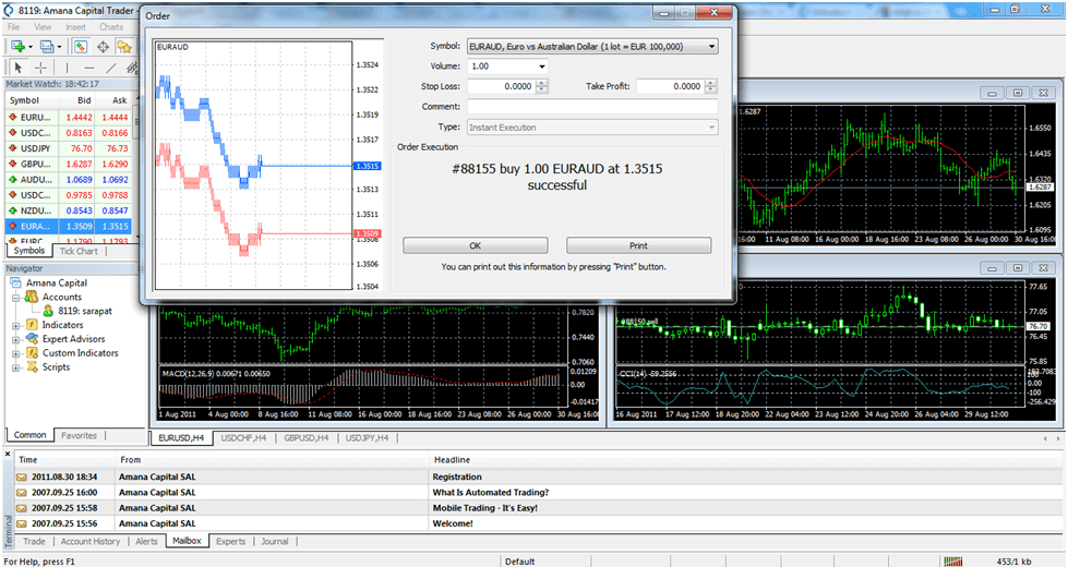 Standard execution Standard execution